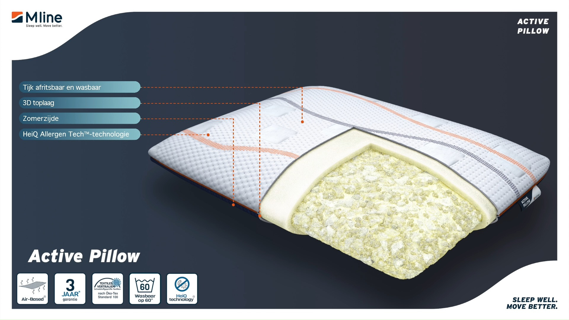 Video Active Pillow